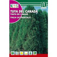 Westliche Thuja (Thuja Occidentalis) 0,5g Rocalba