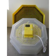 Knetmaschine 50-60 Stück C5-HP