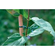 Verstärkte Kabelbinder AP-Fix 2mmx25m