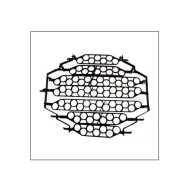 Drehbares Gitter für 71 Wachteleier