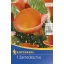 Glühbirne Calla (orange) 1 Stück