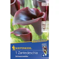 Glühbirne Calla (schwarz) 1 Stück