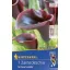 Glühbirne Calla (schwarz) 1 Stück