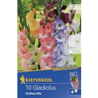 Blumenzwiebel Schwertblume gekräuselt Mix 10 Stück