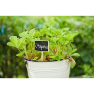 Schild, Holz 20,5x8,6x6cm, 4St.