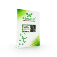   Pheromonfalle Reagron Saddle vine moth (Eupoecilia ambiguella) Basisfalle