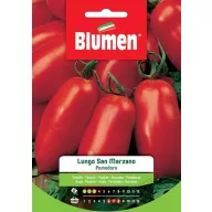 Tomate lang San Marzano Blumen 2 g