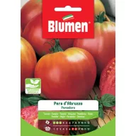 Tomate Abruzzen Birnenblüten 1,5 g