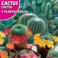 Kaktusmischung (Cactos y Plantas crasas) Rocalba 0,5g