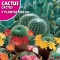 Kaktusmischung (Cactos y Plantas crasas) Rocalba 0,5g