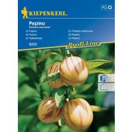 Eiermelonen Pepino Kiepenkerl 10 Samen