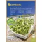 Microgreens Bio-Eiswürfel Nachfüllpackung Samenkissen Kiepenkerl 3 Stück