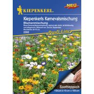 Saatmatte Balkonkasten Blumen Kiepenkerl 15x150 cm