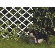 Trelliflex weiß 1x2 m