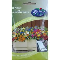 Deckblatt Einjährige Blumenmischung 10x80 cm