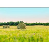   Grassamen Professionelle Mähmischung Natürliche Mischung (trockentolerant) 25 kg