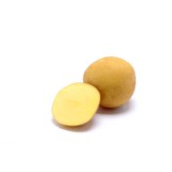   Kartoffelsamenknolle für die Herstellung von Kartoffelchips "Sorentina" 50 Stück