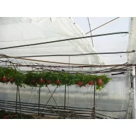 Raschelnetz (dichte Bindung) weiß 6x50m 70g/m2 (65%)