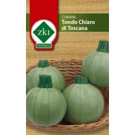 Zucchini rund Tondo Chiaro di Toscana 2g ZKI