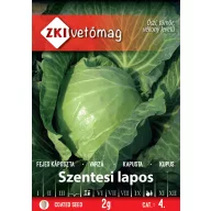 Kraut Johanniskraut flach 2g ZKI