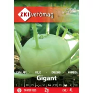 Feldsalat Gigant 2g ZKI