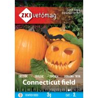 Halloween-Kürbis Connecticut Feld 3g ZKI
