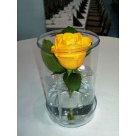 Plastikblumenkasten 1 Stiel