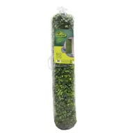 Grüne Wand mit Waldpflanzen Vertikaler Wald 1x1 m