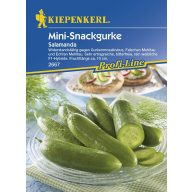 Mini-Snackgurke Salamanda F1 Kiepenkerl