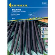 Saubohnen Blauhilde für 6-8 Einsätze Kiepenkerl