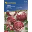 Kopfsalat Radicchio Indigo 40 Körner Kiepenkerl