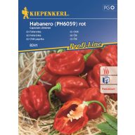 Chilischote Habanero rot min. 7 Samen Kiepenkerl