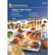 Kirschtomate Indigo™ Pear Drops min. 9 Samen Kiepenkerl