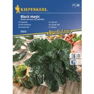 Grünkohl Black Magic 30 Samen Kiepenkerl