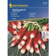 Monatlicher Rettich Flamboyant 2 8 fm Kiepenkerl