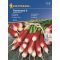 Monatlicher Rettich Flamboyant 2 8 fm Kiepenkerl