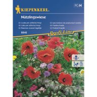   Nützlicher Insektengarten Blumensamenmischung 30 m2 Kiepenkerl