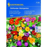 Duftende Steingartenblumen für 2-4 m2 Kiepenkerl