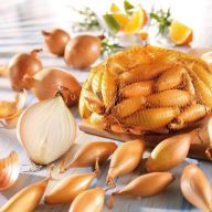 Dughagyma Holland Bamberger (Schinken) 14-19 mm 250 g VM