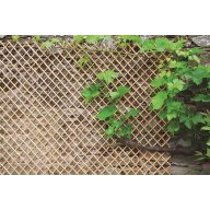 Apfelgitter Docht Spalier natur 0,5x1,5 m