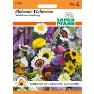 Wildblumenmischung ca. 5m2 Saatgut Pfann
