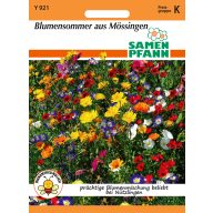 Mössingen Blumenmischung 2 m2 Saatgut Pfann