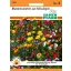 Mössingen Blumenmischung 2 m2 Saatgut Pfann