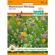 Feldblumenmischung 2-3 m2 Saatgut Pfann