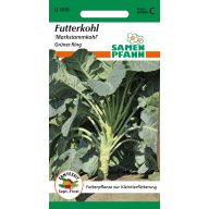 Futterkohl ca. 200 Samen Saatgut Pfann