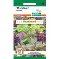 Saatband Reißsalat Babyleaf 5 m Saatgut Pfann