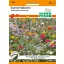 Balkonkasten Blumenmischung ca. 10x80 cm Samen Pfann