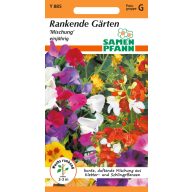 Saatgutmischung für Kletterpflanzen 5m2 von Samen Pfann