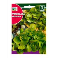 Fette Steinpilze Rocalba 4 g