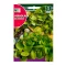 Fette Steinpilze Rocalba 4 g